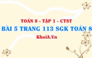 Bài 5 trang 113 SGK Toán 8 Tập 1 Chân trời sáng tạo